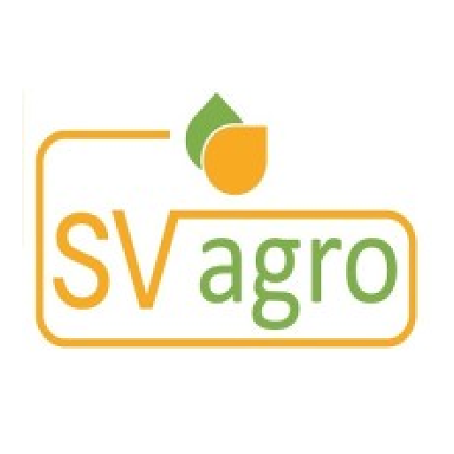 Business Image