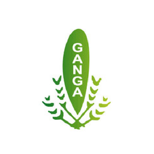 Business Image